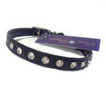 Glamour Puss Cat Collars
